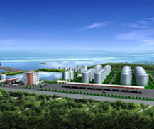 ����ʯ���������